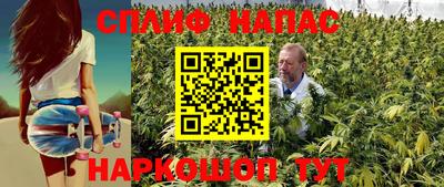 ПСИЛОЦИБИНОВЫЕ ГРИБЫ Нарткала