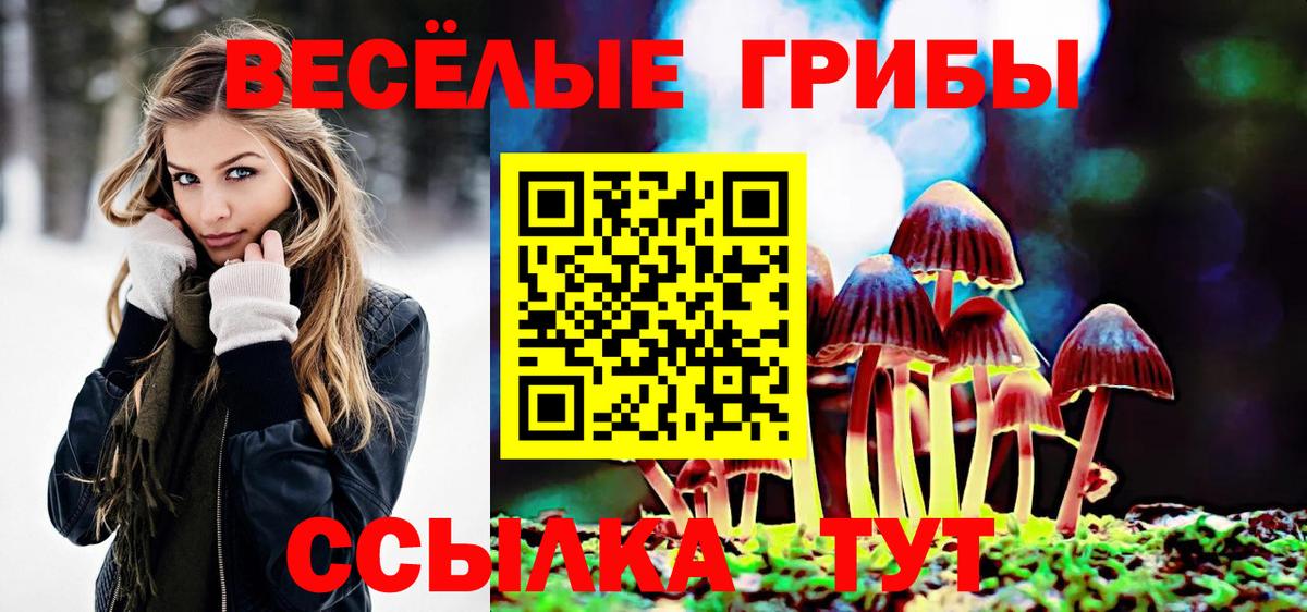 Заречный  Псилоцибиновые грибы GOLDEN TEACHER  Вход с VPN 